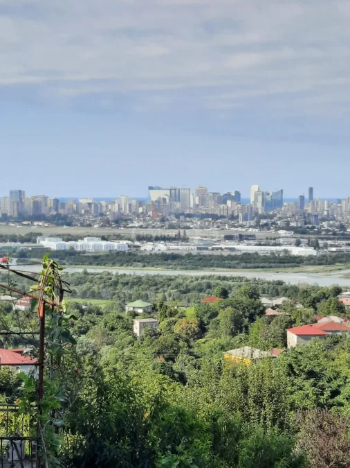 Сельскохозяйственный участок в районе Старого Батуми