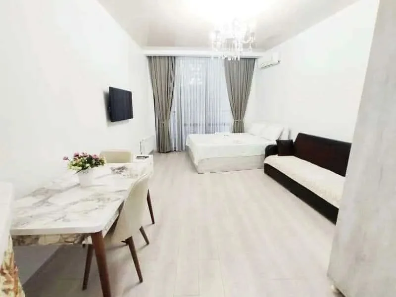 Студия на Pirosmani Street 19 Khimshiashvili District