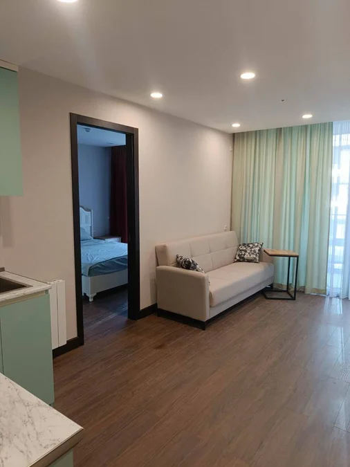 1+1, ул. Адлиа, 6, 50 м², $650