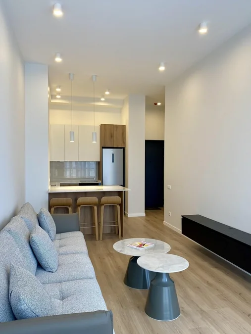 Roomix Tsintsadze: 2-комнатная, 51.0 м²