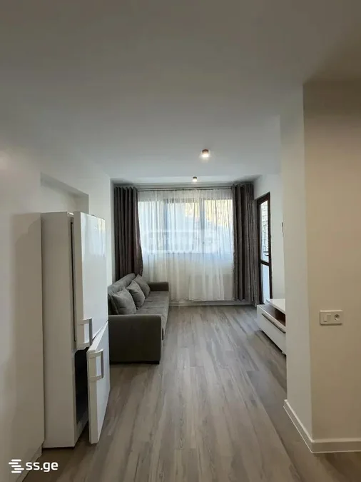 2 room Flat For Rent. Saburtalo