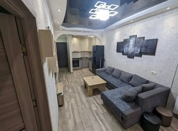 Квартира 2+1 по улице Багратиони, 113а