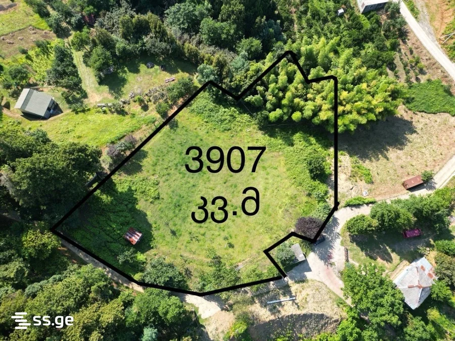 Land For Sale. Nutsubidze plateau
