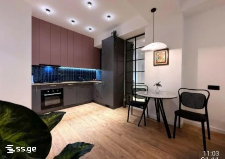 2 room Flat For Rent. Saburtalo