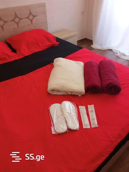 1 room Flat Daily rent. Gldani