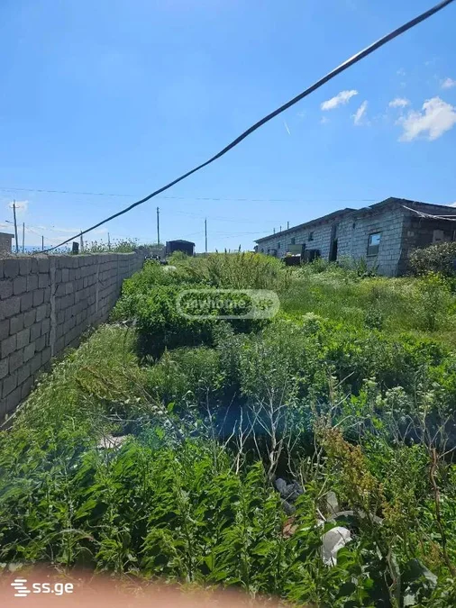 Земля на продажу. Варкетили