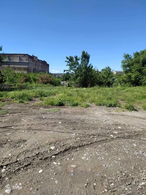 Land For Rent. Samgori