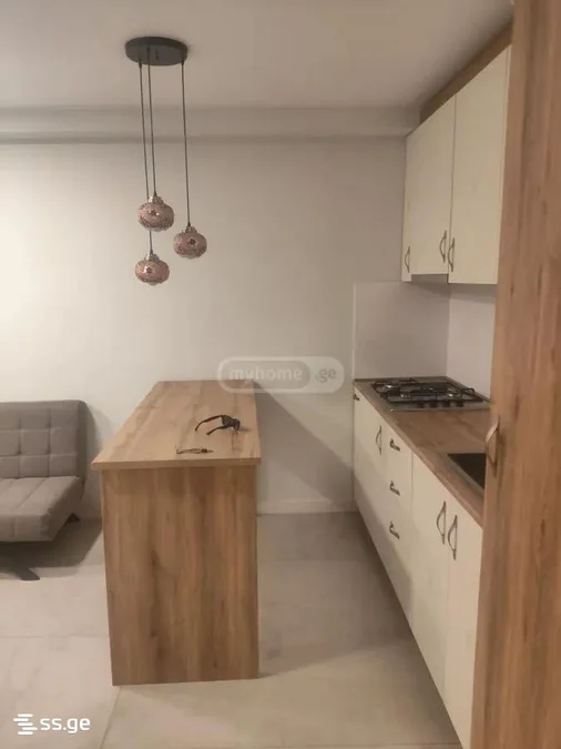 2 room Flat For Rent. Saburtalo