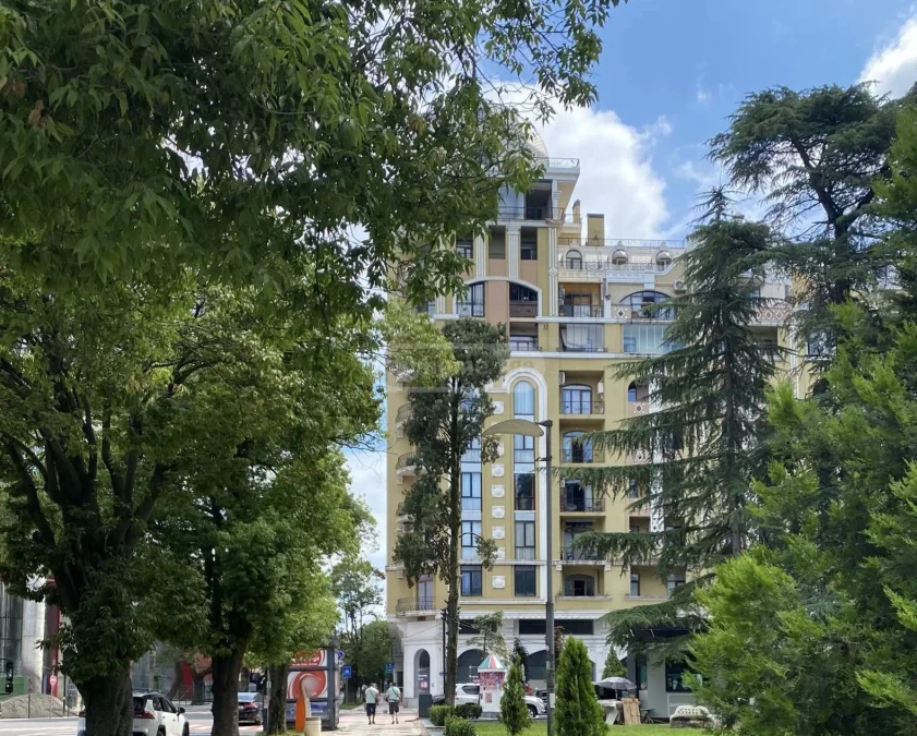 2-комнатная квартира 80 кв.м у парка, $1000