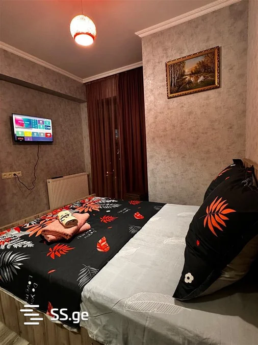 1 room Flat Daily rent. Gldani
