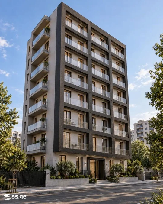 3-комнатная квартира. Дидубе