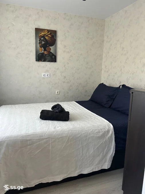 1 room Flat Daily rent. Saburtalo