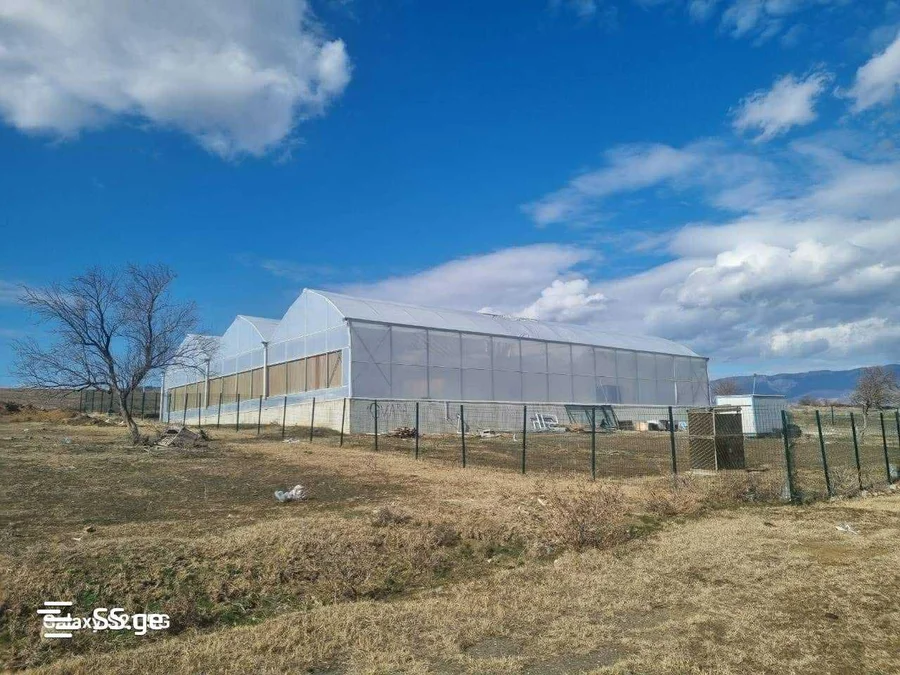 Land For Sale. Samgori