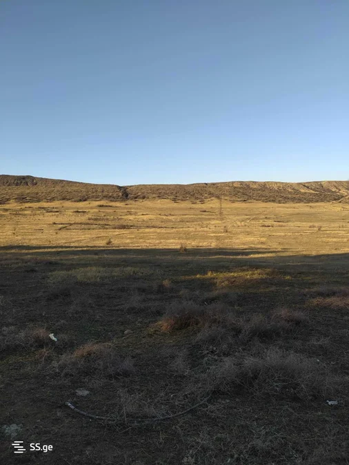 Land For Rent. Lisi lake