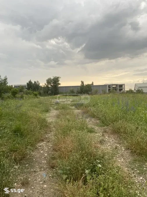 Участок 2650 кв.м в Самгори (Патрули Лило)