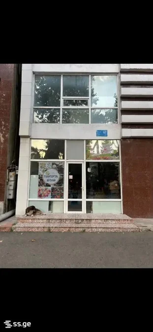 Коммерческое помещение 65 кв.м на проспекте Церетели