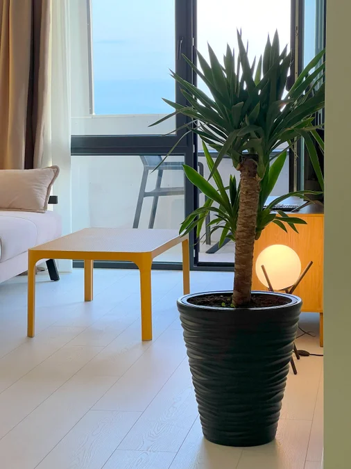 Апартаменты Bliss с панорамным видом, €200/сутки