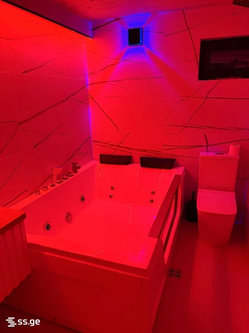 1 room Flat Daily rent. Gldani