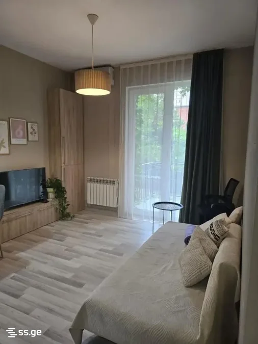 2 room Flat For Rent. Saburtalo