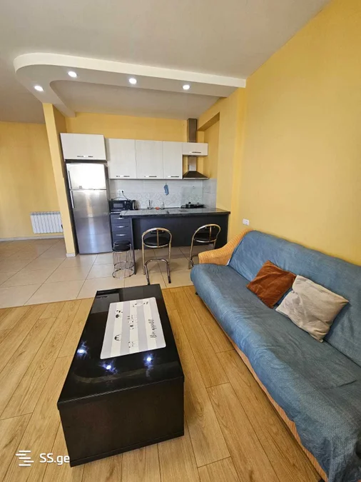 2 room Flat For Rent. Saburtalo