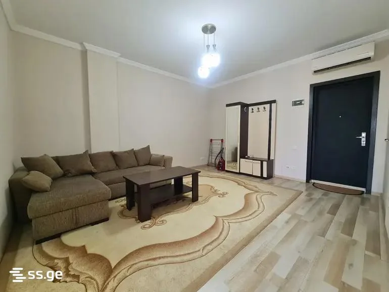 1+1 на Z. Gorgiladze Street 96 Rustaveli District