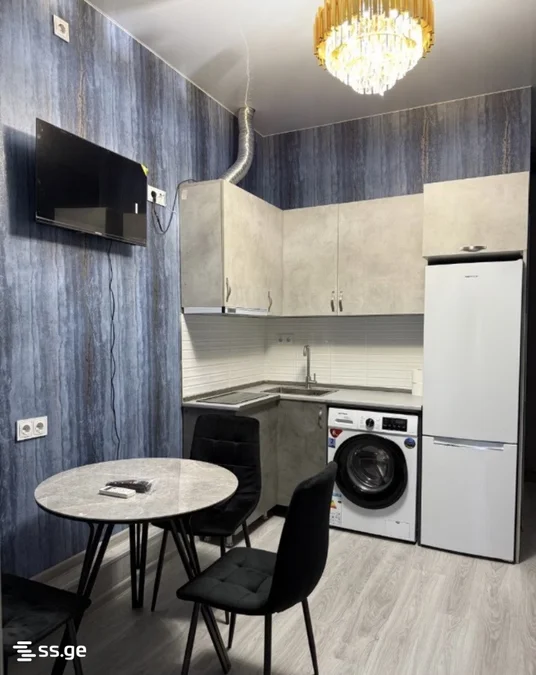 2 room Flat For Rent. Saburtalo