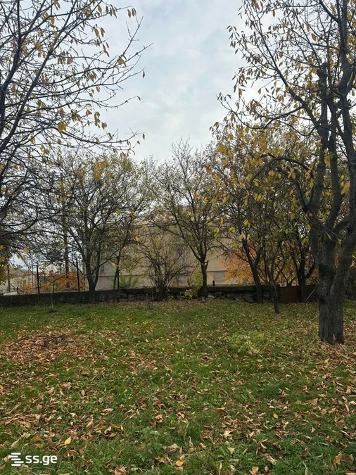 Участок земли в Цавкиси