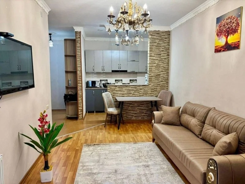 Ул. Селима Химшиашвили, 20: 2-комнатная, 50.0 м²