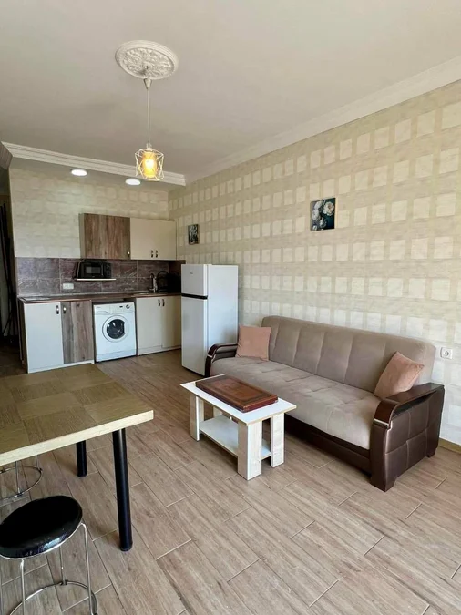 Долгосрочная аренда 3-комнатной квартиры в Bagrationi District