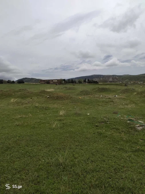 Land For Rent. Gldani