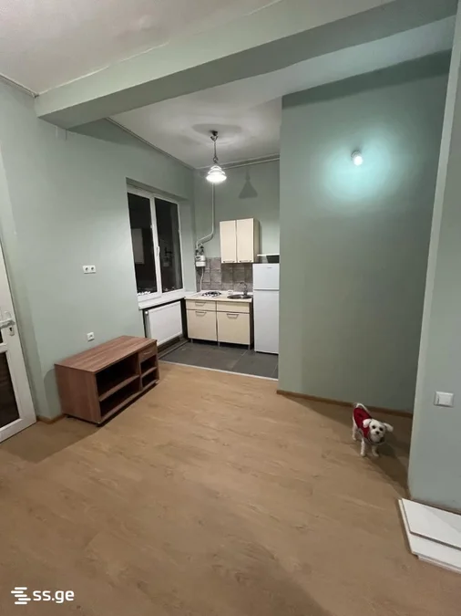2 room Flat For Sale. Saburtalo