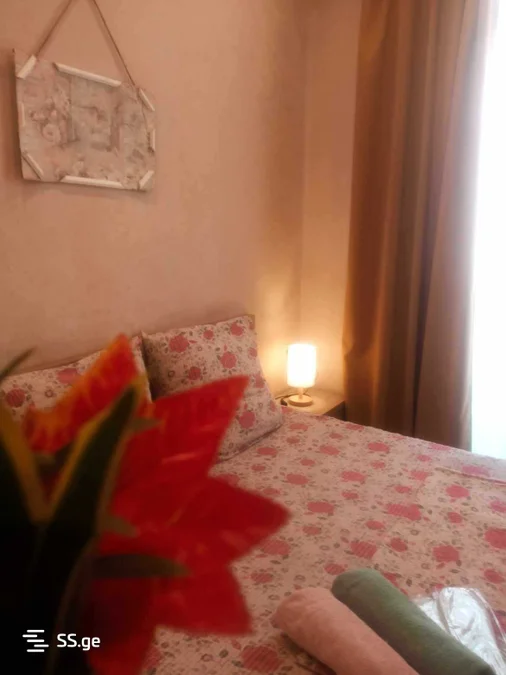 1 room Flat Daily rent. Mukhiani