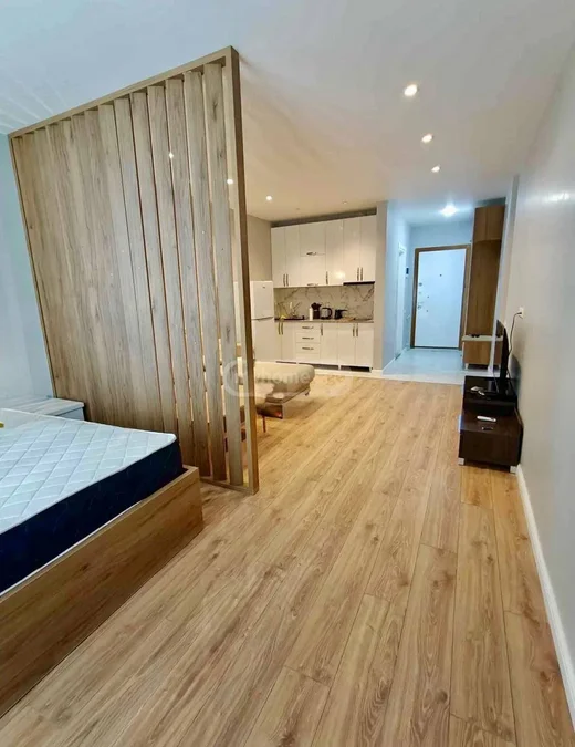 Студия 40 м², Згвиспири 6, $400
