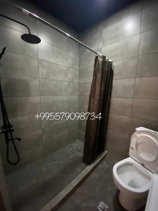 Долгосрочная аренда 2-комнатной квартиры в Bagrationi District