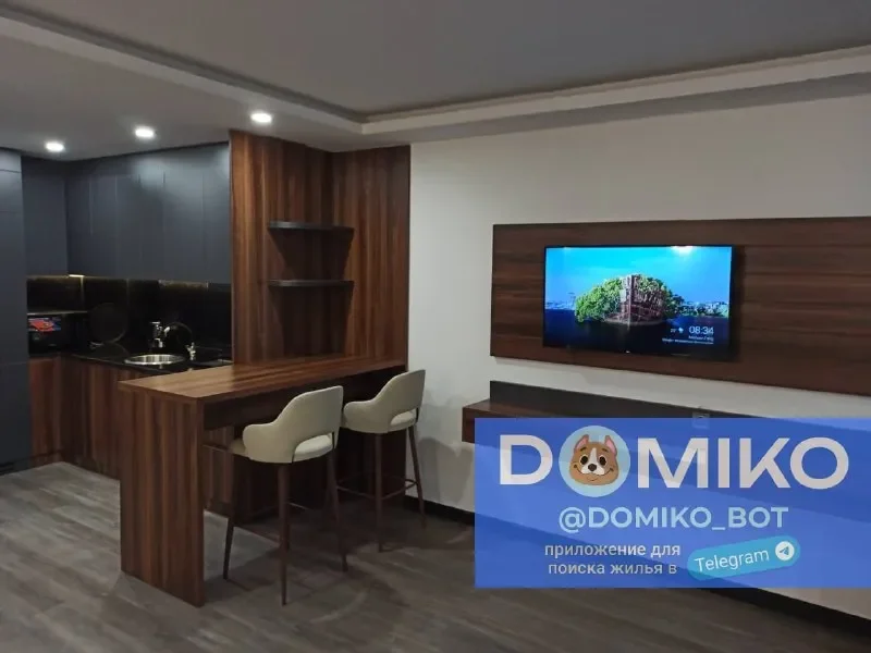 Студия 9/15, 46 кв/м, $950