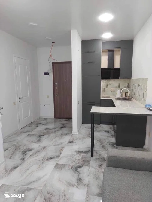 1+1 на проспект Жиули Шартава 32 Tamar Settlement