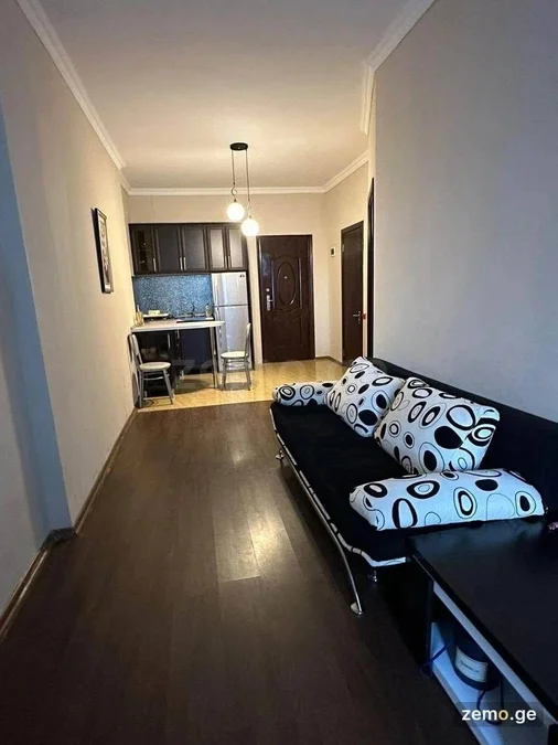 Долгосрочная аренда 2-комнатной квартиры в Bagrationi District